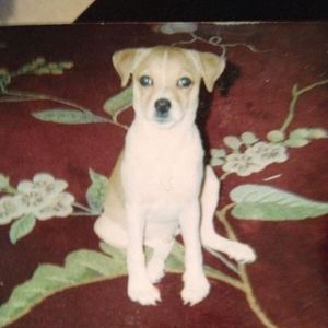 Meet your Posher, Janice